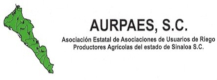 logo-aurpaes