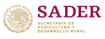 logo-sader